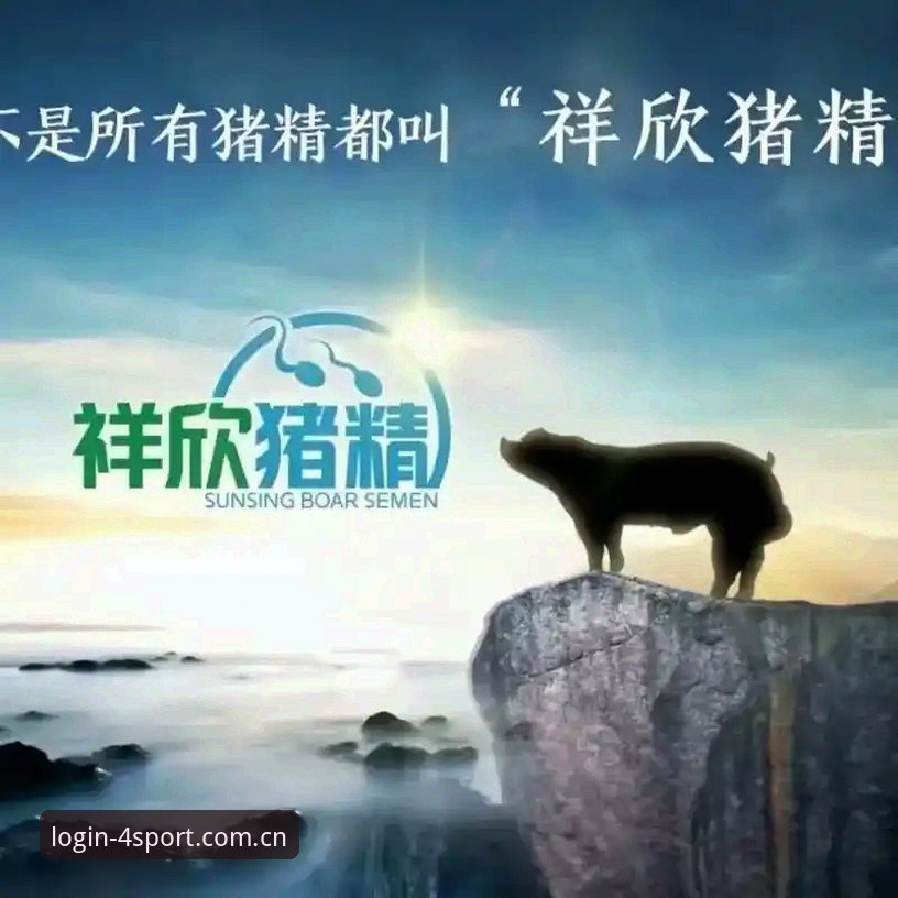 四季体育用户登录最新动态：多维度解析哪个入口更便捷高效
